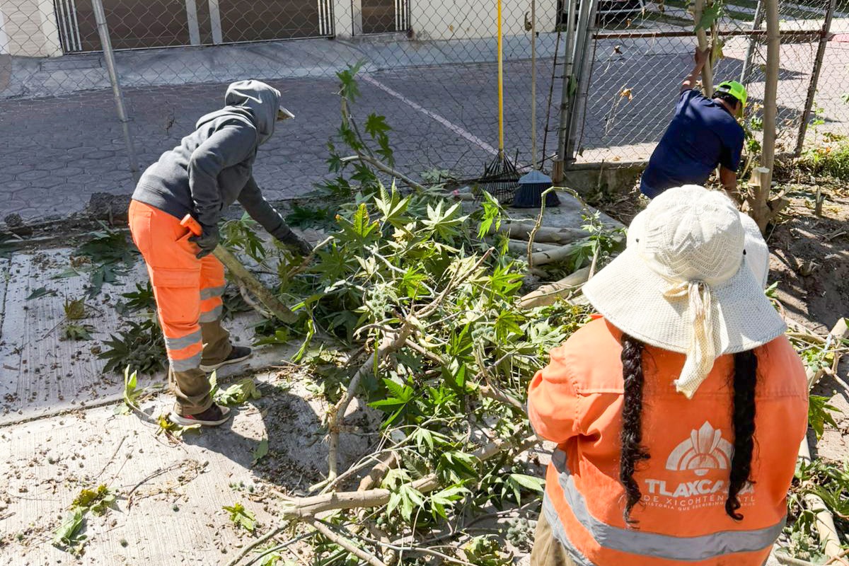 Interviene Ayuntamiento de Tlaxcala barranca en Atempan con desazolve y limpieza para proteger a las familias